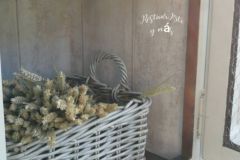 IMG_20230723_115623