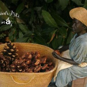 Mesilla Congo