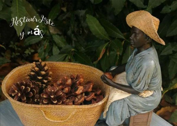 Mesilla Congo