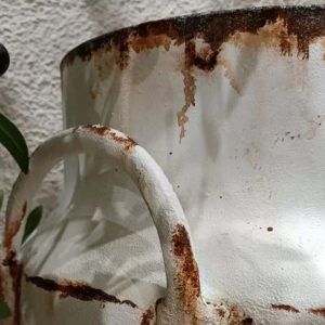 Lechera Arantza
