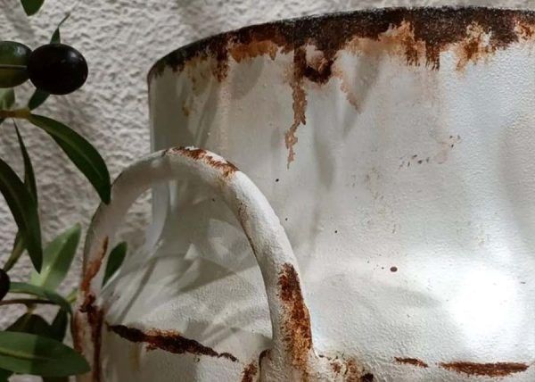 Lechera Arantza